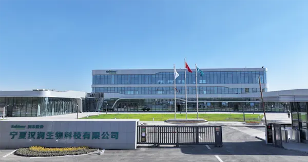 4- Ningxia Production Base(north)